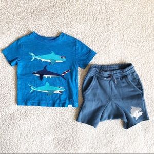 GAP Toddler Tee and Shorts Set